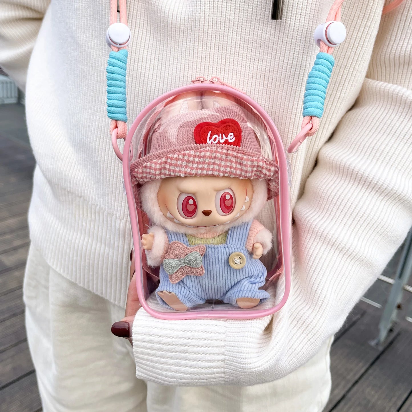 Show Me Off Transparent Carry Bag